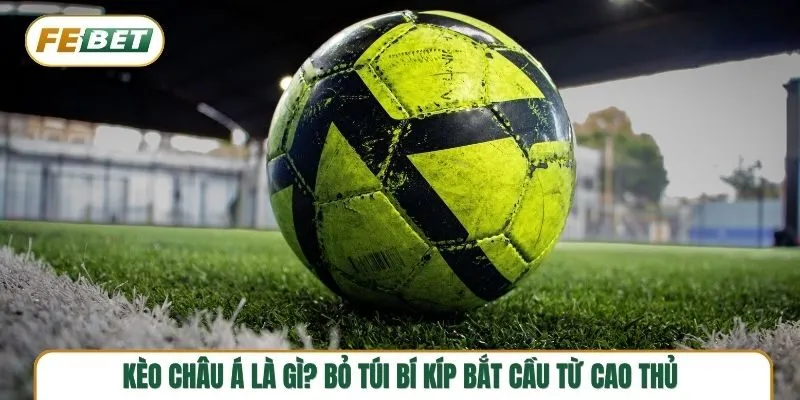 Hướng dẫn cách đọc kèo châu Á cực dễ hiểu, chi tiết nhất
