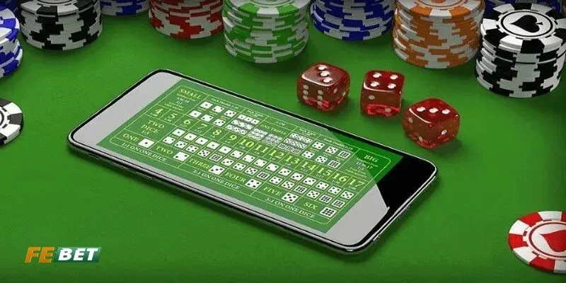 Tổng hợp các điều khoản sử dụng tại hệ thống